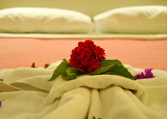 Club Dedeman Bodrum 2*