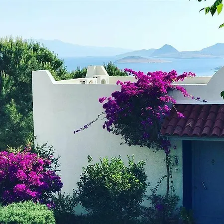 Club Dedeman Bodrum Station touristique 2*