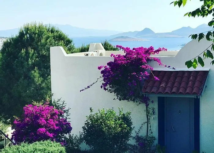 Club Dedeman Bodrum Θέρετρο 2*